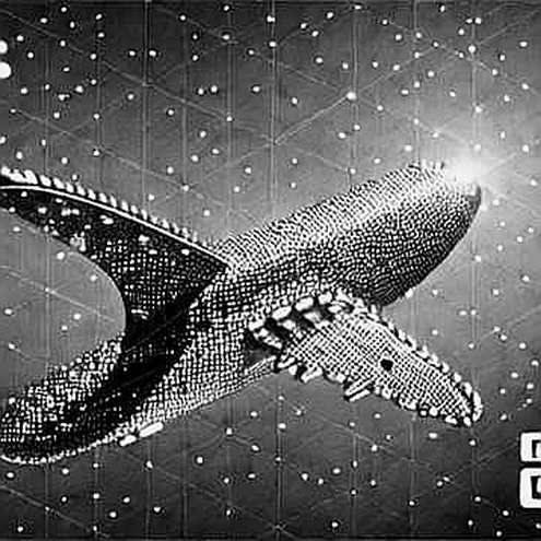 Vùng Xám Của Thị Trường Gấu: Dữ Liệu On-Chain Cho Thấy "Chip Tốt" Nhưng Không Đủ Để Đốt Lửa